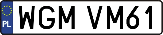 WGMVM61