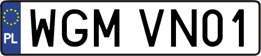 WGMVN01