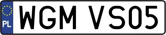 WGMVS05