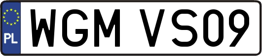WGMVS09