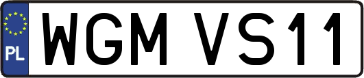 WGMVS11