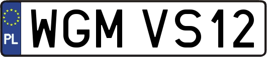 WGMVS12