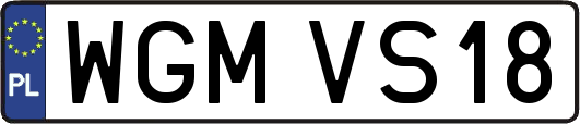 WGMVS18