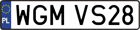 WGMVS28