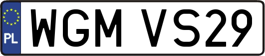 WGMVS29