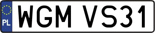 WGMVS31