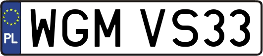 WGMVS33
