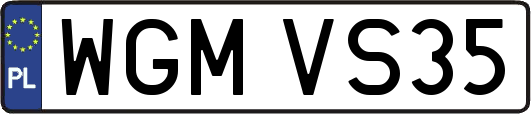 WGMVS35
