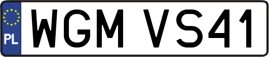WGMVS41