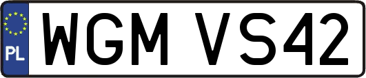 WGMVS42