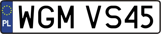 WGMVS45