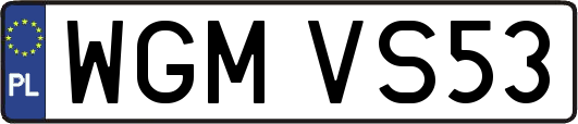 WGMVS53