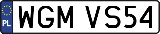 WGMVS54