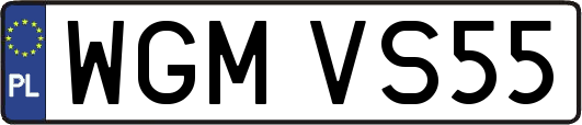 WGMVS55