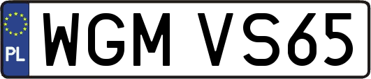 WGMVS65