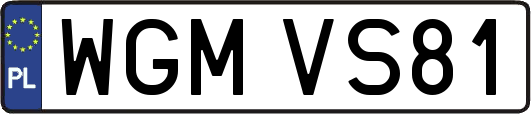 WGMVS81