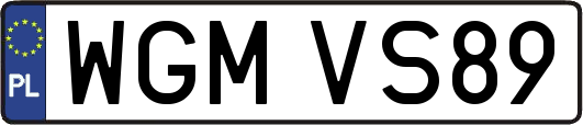 WGMVS89