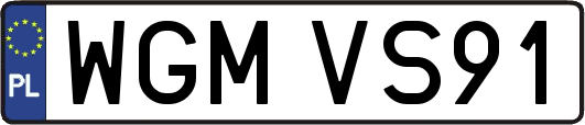 WGMVS91