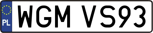 WGMVS93