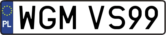 WGMVS99