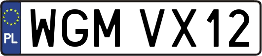 WGMVX12