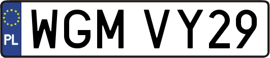 WGMVY29