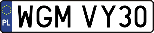 WGMVY30