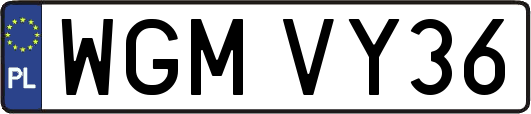 WGMVY36