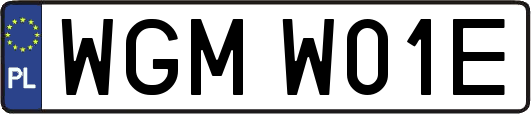 WGMW01E