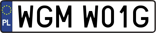 WGMW01G
