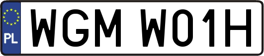 WGMW01H