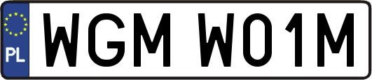 WGMW01M