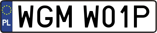 WGMW01P