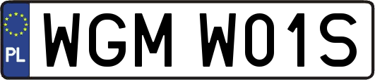 WGMW01S