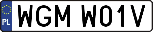 WGMW01V