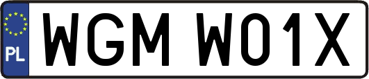 WGMW01X