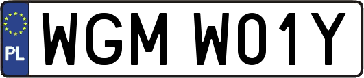 WGMW01Y