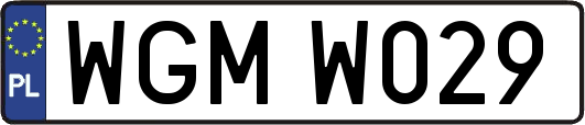 WGMW029