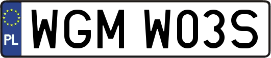 WGMW03S