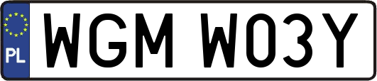 WGMW03Y