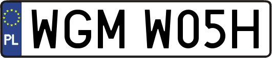 WGMW05H