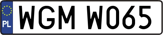 WGMW065