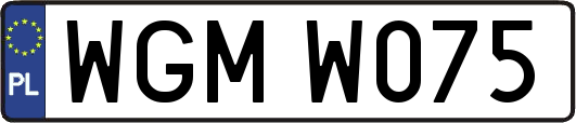 WGMW075