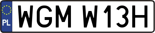 WGMW13H