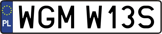 WGMW13S