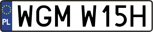 WGMW15H