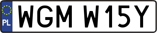 WGMW15Y