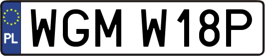 WGMW18P