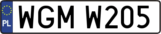 WGMW205