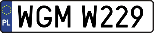 WGMW229